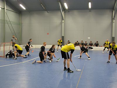 Alivoimanelikko